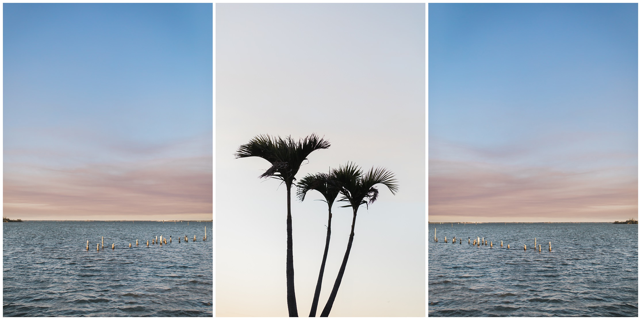 sunset, palm tree, silhouette, pal tree silhouette, sebastian florida, florida, florida photographer, beach photography, beach photographer, sunset, inlet 
